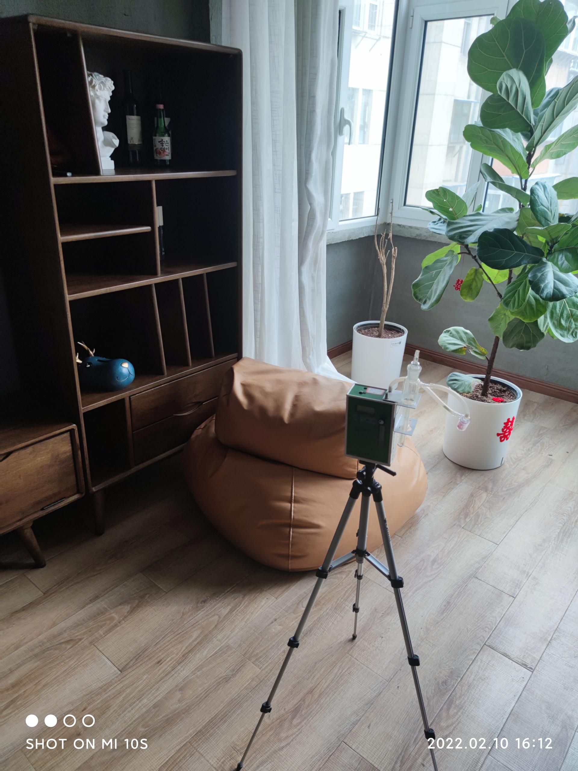 狮子山西兰小区测甲醛 甲醛治理公司